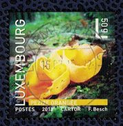 Luxembourg 2013 Oblitéré Used Champignon Pezize Orangée - Gebruikt