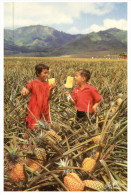(680) USA - Hawaii - Pineapples Plantation With Childrens - Autres & Non Classés