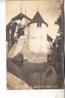 CH 5705 HALLWIL AG, Schloss, Photo-AK - Lenzburg