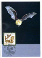 CHAUVE SOURIS / CARTE MAXIMUM  / ALLEMAGNE - Bats