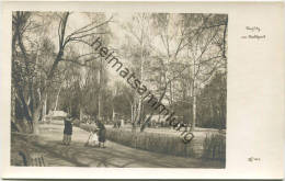 Berlin Im Stadtpark - Foto-AK 40er Jahre - Steglitz