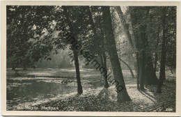 Berlin - Stadtpark - Foto-AK 30er Jahre - Steglitz