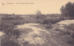 KALMTHOUT / CALMPTHOUT : De Calmpthoutsche Heide - Kalmthout