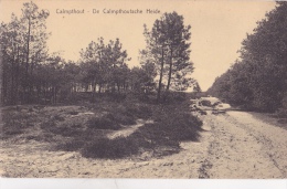 KALMTHOUT / CALMPTHOUT : De Calmpthoutsche Heide - Kalmthout