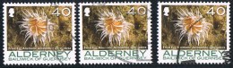 2007 - ALDERNEY - ANEMONE DI MARE. USATO - Alderney
