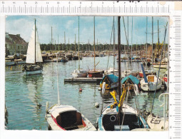 COURSEULLES  -  Le  Bassin  Des   Yachts - Courseulles-sur-Mer