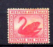 Y1081 - WESTERN AUSTRALIA 1885 , Gibbons N. 95  Fil CA . Senza Gomma - Mint Stamps