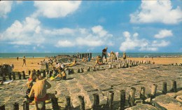 Delcampe - Cpm Ak Pk 2 Scans Heist Duinbergen ( Knokke )strandzicht Plage Trés Animée - Heist