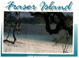 (766) Australia - QLD - Fraser Island - Sunshine Coast