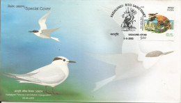 Marine Birds Sand Wich Tern Kadalundi Bird Sanctuary Special Cover 2005, Permanent Pictorial Cancellation - Flamingos