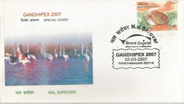 Inde India 2007 Special Cover Gandhipex, Nal Sarovar, Flamingo, Bird, Birds - Flamingo's