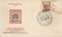 India 1973 Dancing Peacock, Pictorial Cancellation , Jaipur State Stamp Reproduce On Special Cover - Paons