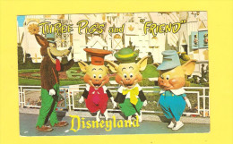 Postcard - Disneyland     (20742) - Disneyland