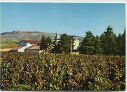 CPSM 69 JULIENAS EN BEAUJOLAIS LA COOPERATIVE ET LE CHATEAU       Grand Format 15 X 10,5 Cm - Julienas