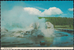 USA - Grotto Geyser - Nice Stamp - Yellowstone