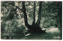 LES EAUX-BONNES: Route Thermale - Eaux Bonnes