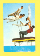 Postcard - North Korea, Circus     (V 26612) - Korea, North