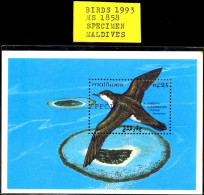BIRDS-MARINE LIFE-AUDUBON´S SHEARWATER-SPECIMEN-MS-MALDIVES-1993-MNH-M-01 - Albatros & Stormvogels