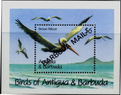 BIRDS-PELICANS-OVERPRINT-BARBUDA MAIL-ANTIGUA & BARBUDA-MS-MNH-M-09 - Pélicans