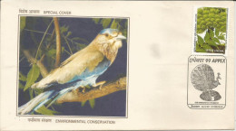 India 1994 Special Cover, Peacock In Cancellation, Bird, Wildlife,Pictorial Cancellation, Environmental Conservation - Peacocks