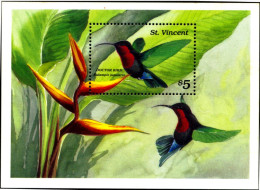 BIRDS-HUMMINGBIRDS-DOCTOR BIRD-St VINCENT-MS-MNH-M-32 - Segler & Kolibris