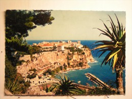 Le Rocher De Monaco - Vue Prise Du Jardin Exotique - Harbor