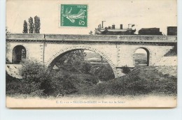 SALIES DE BEARN - Pont Sur Le Saleys. - Ouvrages D'Art