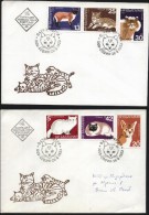FDC-s Cats  1983  From Bulgaria - Covers & Documents