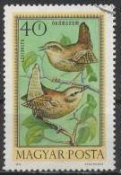 HUNGARY 1973 Air. Hungarian Birds - 40fi  Winter Wrens FU - Used Stamps