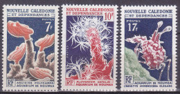 Colonies Francaises Nouvelle Calédonie N° 322/324 Aquarium De Nouméa 1964/65 Neuf ** - Neufs