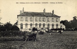 44 - VARADES - Château Du Coteau - Animée, Vaches - Varades