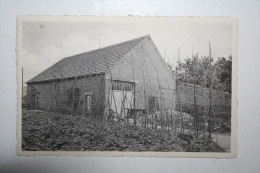 Belgique - Sint Franciscus  Salésius - Dorp . Houwaart - Tielt-Winge