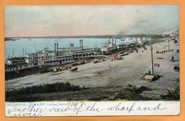 Memphis TN 1907 Postcard - Memphis