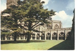 SALISBURY Cathedral - The Cloisters - Salisbury