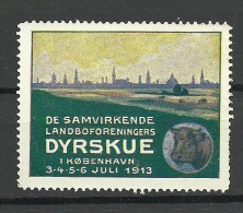 DENMARK Dänemark Danmark 1913 Advertising Reklamemarke Exhibition Ausstellung - Ungebraucht