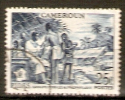 CAMEROUN .   1956.  Y&T N° 303 Oblitéré.  FIDES .   Dispensaire  /  Vaccination - Used Stamps