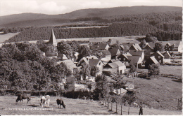 AK Neuastenberg - Hochsauerland - 1968 (19790) - Winterberg