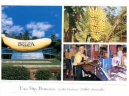 (249) Australia - NSW - Coffs Harbour Big Banana - Coffs Harbour