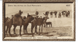 MAROC Sud Marocain Chromo / Photo  N° 107 Pub: Chocolat Suchard 100 X 55 Mm  TB - Suchard