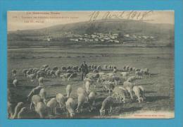 CPA LABOUCHE 196 - La Montagne Noire Les Paturages Berger Et Moutons Plateau De PRADELLE-CABARDES 11 - Autres & Non Classés