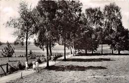 Bad Wörishofen, Elsterweg - Bad Woerishofen