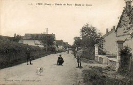 CPA- LERE (18) - Aspect De L'entrée Du Pays Et De La Route De Cosne En 1910 - Lere