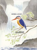 MDB-BK5-092 MINT ¤ SIERRA LEONE 2000 BLOCK ¤ BIRDS OF THE WORLD - OISEAUX - PAJAROS - VOGELS - VÖGEL - AVES - Aves Gruiformes (Grullas)