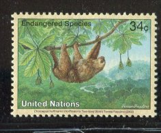 (cl. 4 - P.45)  Nations Unies - New York ** N° 872 (ref. Michel Au Dos)  - Singe : Tamarin - - Neufs