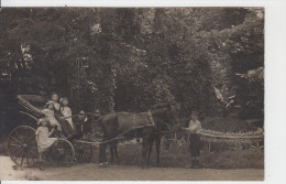 69 - GRIGNY / CARTE PHOTO D'UN ATTELAGE DANS UN PARC - Grigny