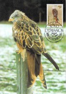 LUXEMBOURG  CARTE MAXIMUM  NUM-YVERT  1259  OISEAUX MENACES - Maximum Cards