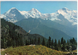 Switzerland -  Gündlischwand (BE) - Schynige Platte: Eiger Mönch Jungfrau - Gündlischwand