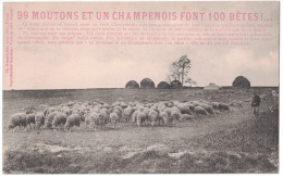 Aube 10 - 99 Moutons Et Un Champenois Font 100 Betes Dicton Sur CP Avec Troupeau De Moutons Et Berger Campagne - Other & Unclassified