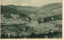 Kunstkarte LÜTZEL Im Spessart, PostBIEBER, Kreis GELNHAUSEN; 1924nach Frankfurt/M - Gelnhausen