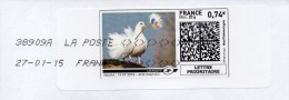 Montimbrenligne Oiseau Pigeon Couleur - Sonstige & Ohne Zuordnung